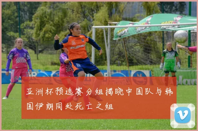 亚洲杯预选赛分组揭晓中国队与韩国伊朗同处死亡之组