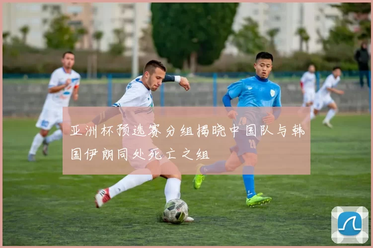 亚洲杯预选赛分组揭晓中国队与韩国伊朗同处死亡之组