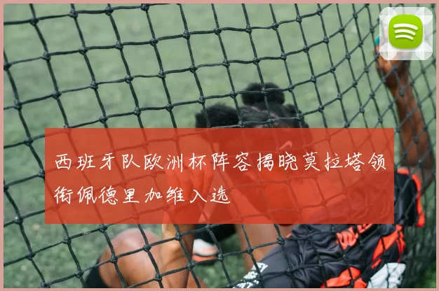 西班牙队欧洲杯阵容揭晓莫拉塔领衔佩德里加维入选