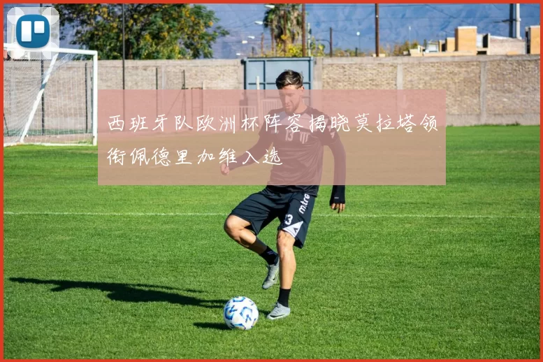 西班牙队欧洲杯阵容揭晓莫拉塔领衔佩德里加维入选