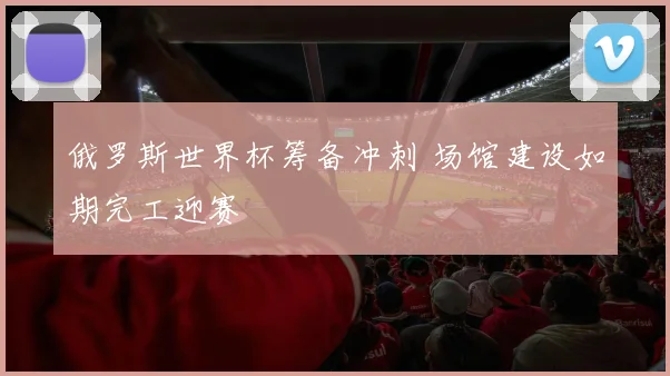 俄罗斯世界杯筹备冲刺 场馆建设如期完工迎赛